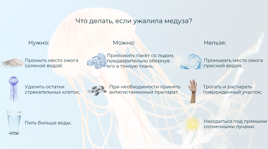 Если ужалила медуза